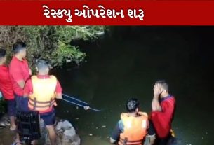 કિશોરો