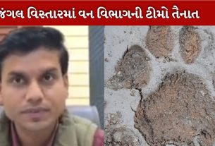 વાઘ