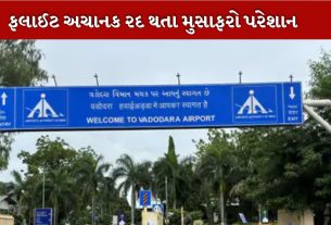 ફ્લાઇટ્સ