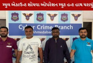 જુદા જુદા રાજ્યોમાં 108 સાયબર ફ્રોડની ફરિયાદો નોંધાઈ હોવાનું જણાયું હતું