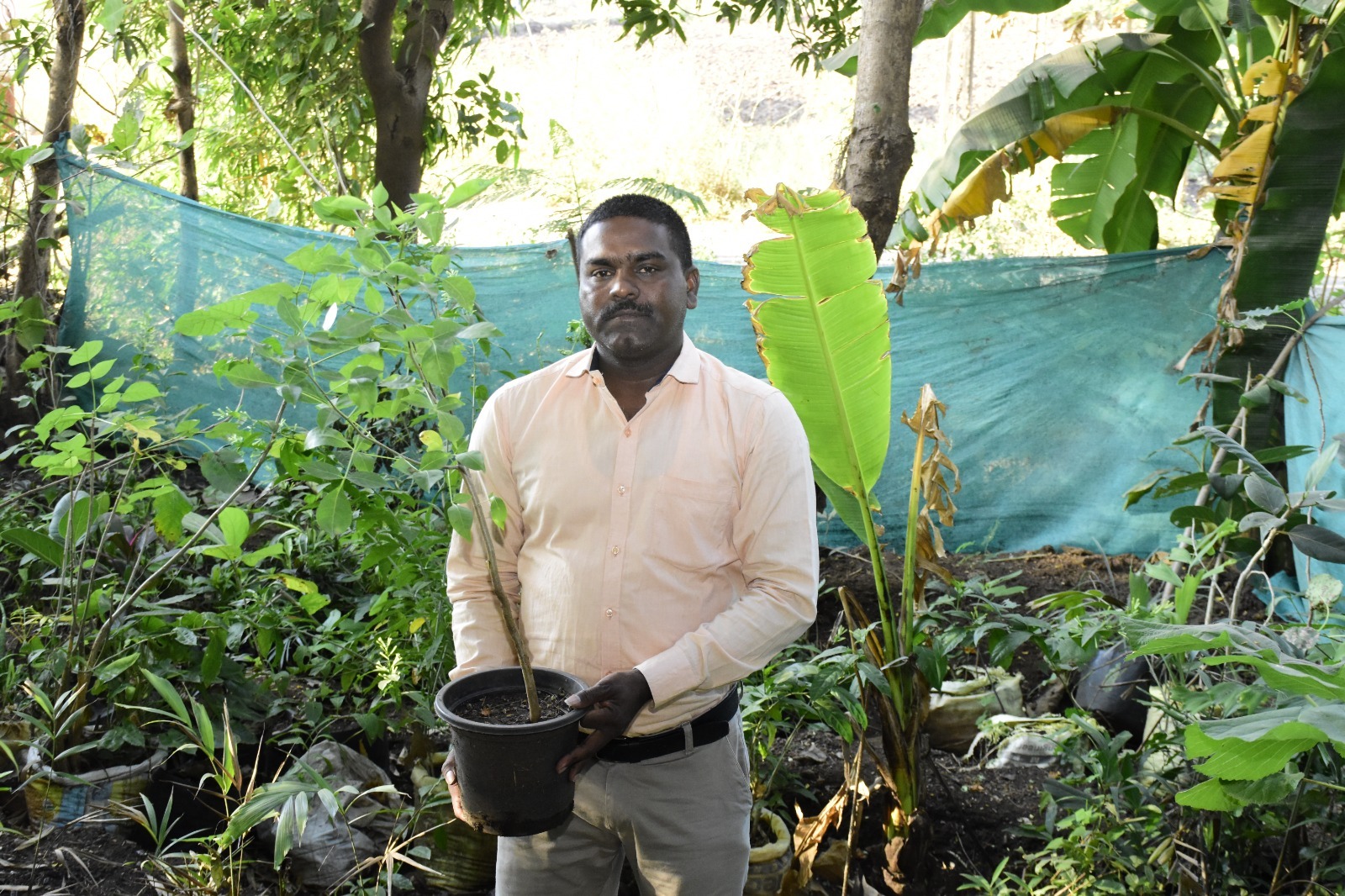 Vijeshbhai's grand goal of delivering 5 lakh seed balls to every corner of Gujarat