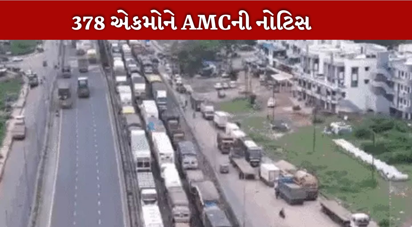 AMC