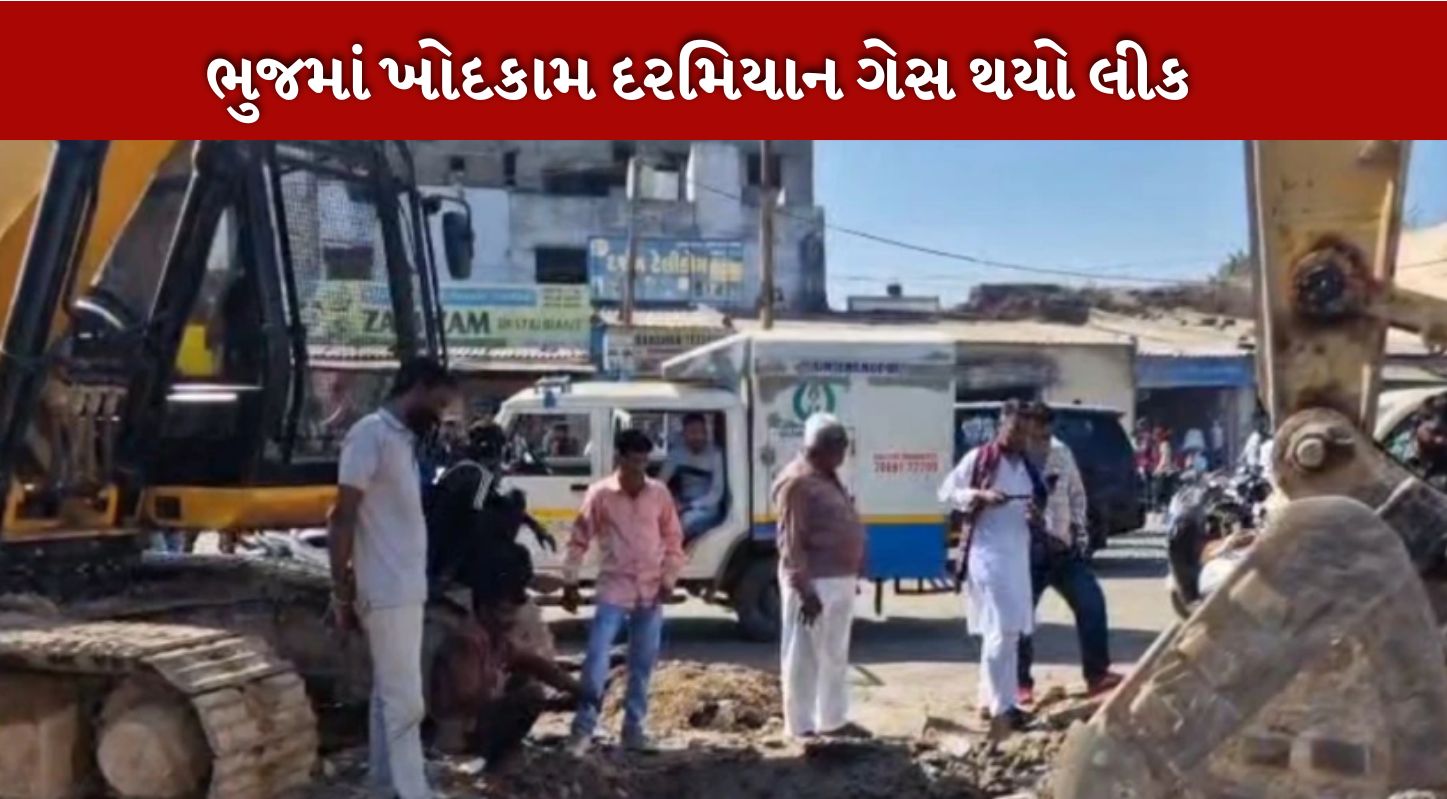 ગેસ પાઇપલાઇન (Gas pipeline)