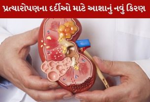 kidney
