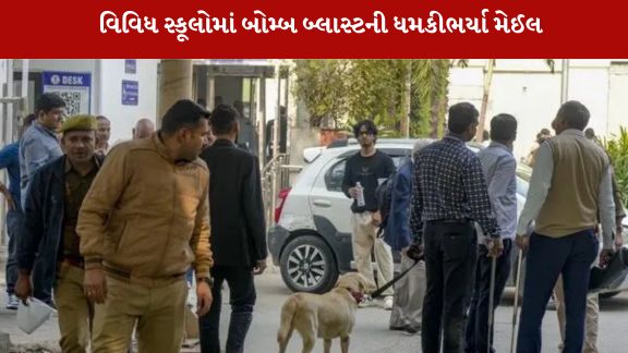 પોલીસે વિવિધ સ્કૂલોની વિઝીટ કરી તપાસ હાથ ધરી હતી