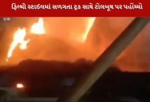 પાંચ કિલોમીટર સુધી સળગતો ટ્રક લઈને ટોલ ટેક્સ સુધી પહોંચ્યો