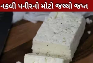 નકલી પનીર