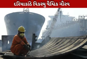 Ship Recycling Hub રાજ્યનું જ નહીં, સમગ્ર વિશ્વનું ગૌરવ