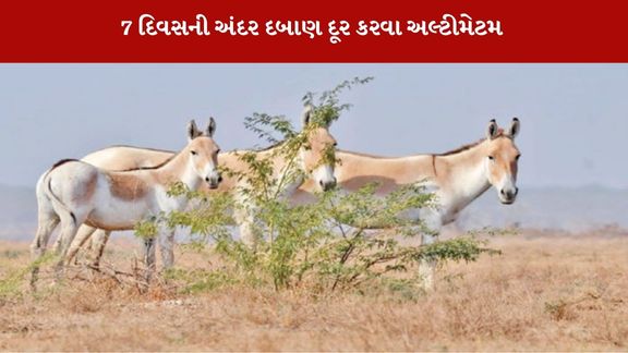 Ghudkhar