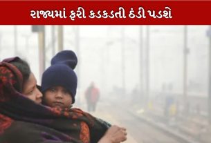 ગુજરાતમાં Western Disturbanceથી ઠંડીમાં રાહત