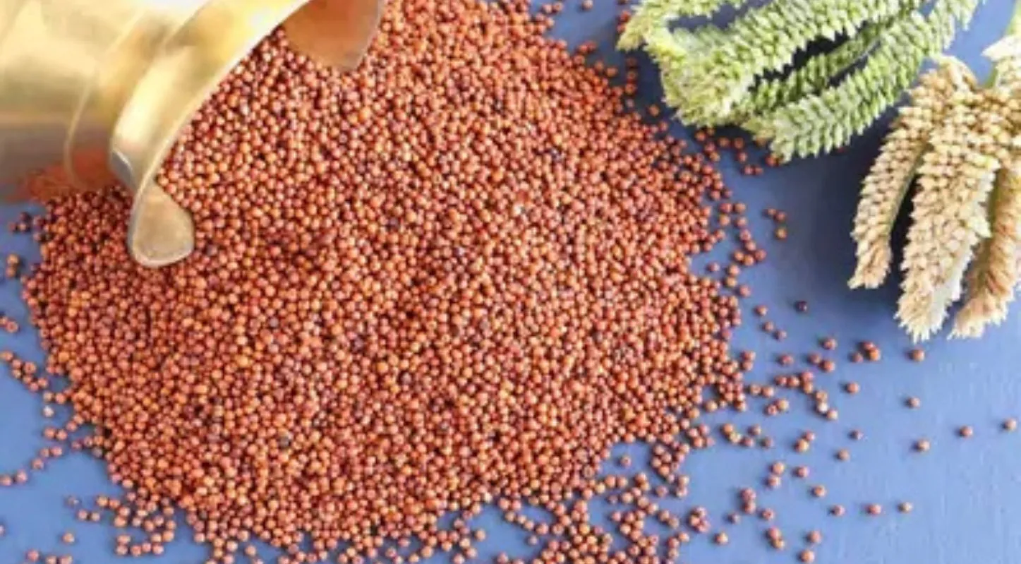 રાગી કૂકીઝ, હૅલ્ધી, રેસિપી