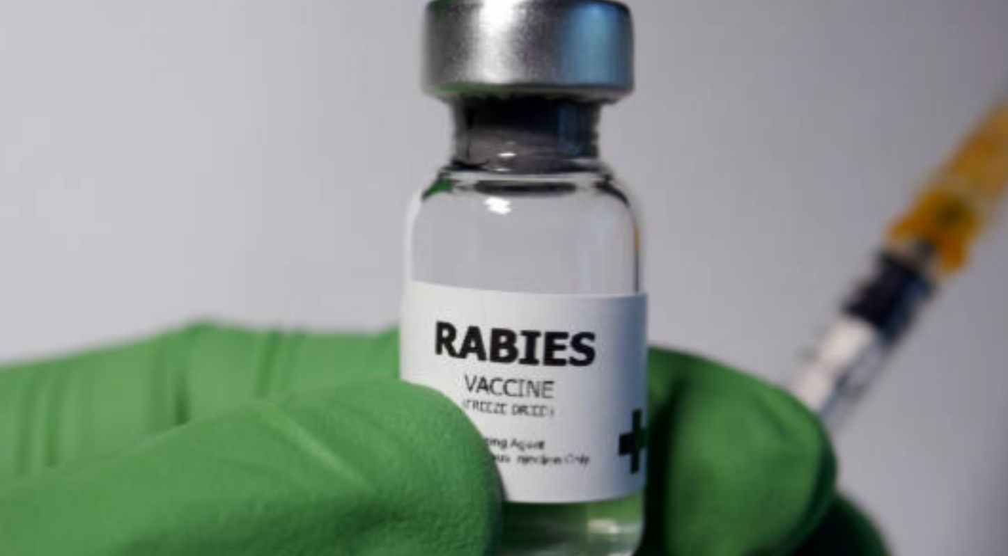 Rabies vaccine