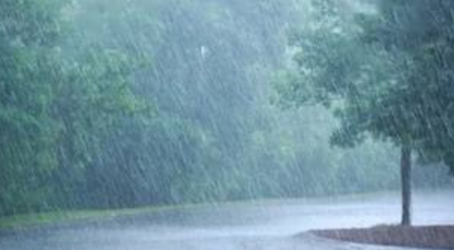 Weather