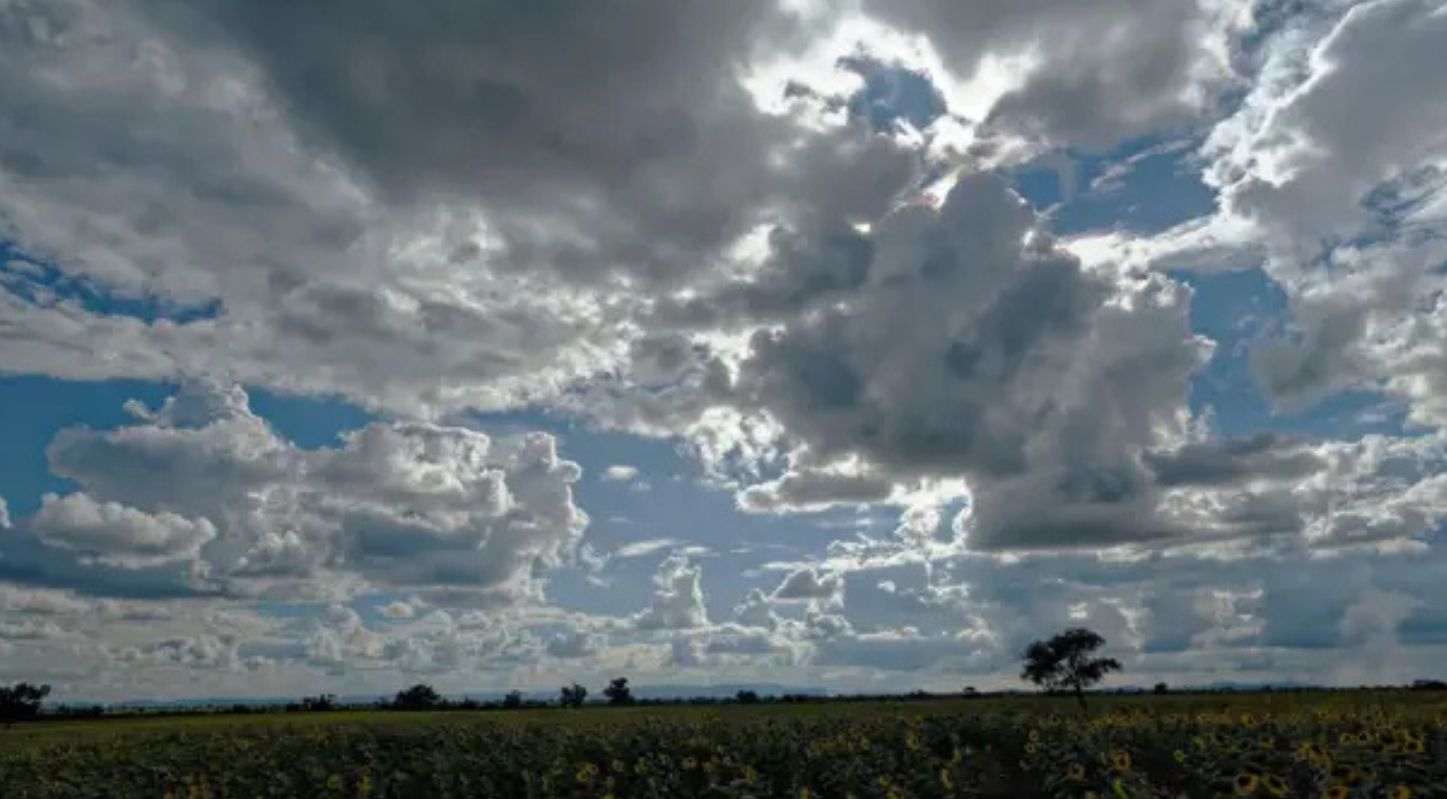 Weather