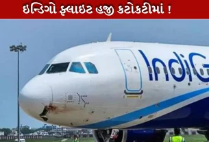 ઇન્ડિગો ફ્લાઇટ્સ રદ યથાવત