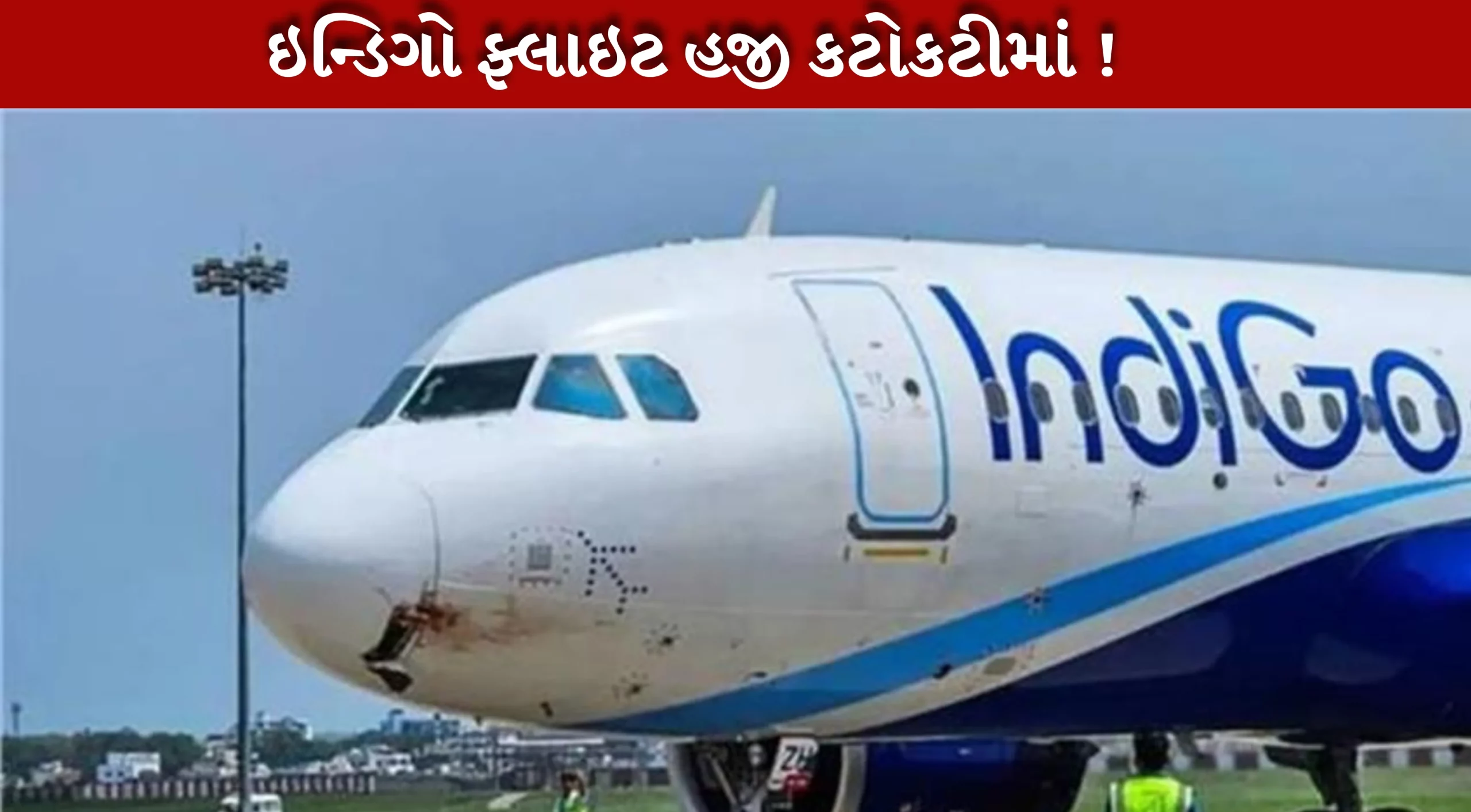 ઇન્ડિગો ફ્લાઇટ્સ રદ યથાવત