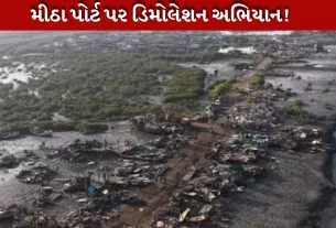 કંડલામાં મીઠા બંદર નજીક ડિમોલેશનની કાર્યવાહી
