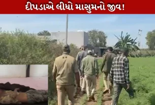 ખેતરમાં કામ સમયે બની દુર્ઘટના-દીપડા(Leopard)નો આતંક (Terror)