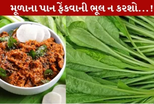 Mooli Chutney, મૂળાની ચટણી, શિયાળા, રેસિપી