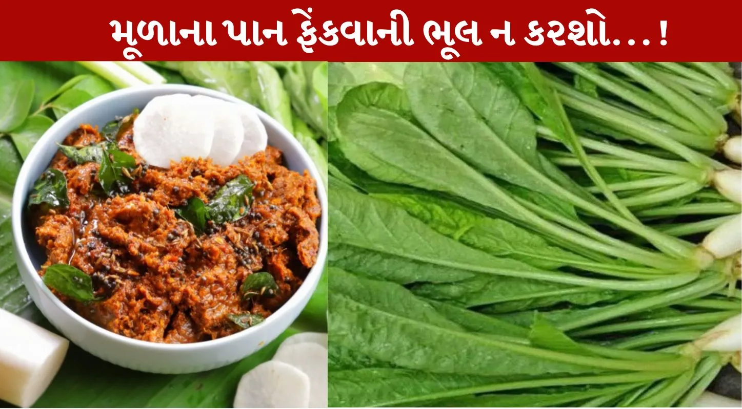 Mooli Chutney, મૂળાની ચટણી, શિયાળા, રેસિપી