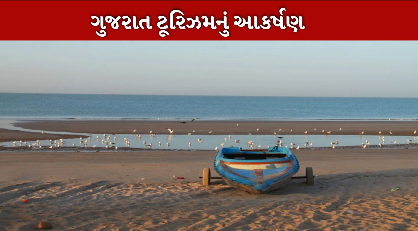 mandvi beach