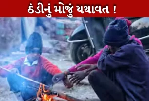 શિયાળા (Winter)માં સમગ્ર ઉત્તર ભારત શીત લહેર અને ધુમ્મસની ઝપેટમાં છે.