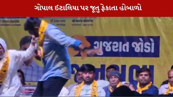 ગોપાલ ઈટાલિયા