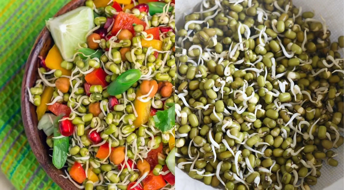 Soya Chaap, સોયા ચાપ, પ્રોટીન