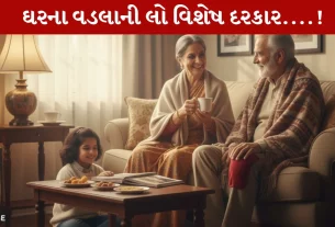 Elders, વડીલો, શિયાળા, સંભાળ, ટિપ્સ