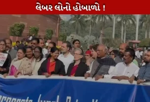 આજે પણ સંસદ સત્રમાં વિલંબ , લેબર લોને લઈને હોબાળો મચાવ્યો, , રાહુલગાંધી ,સોનિયા ગાંધી , મલ્લિકાર્જુન ખરગે