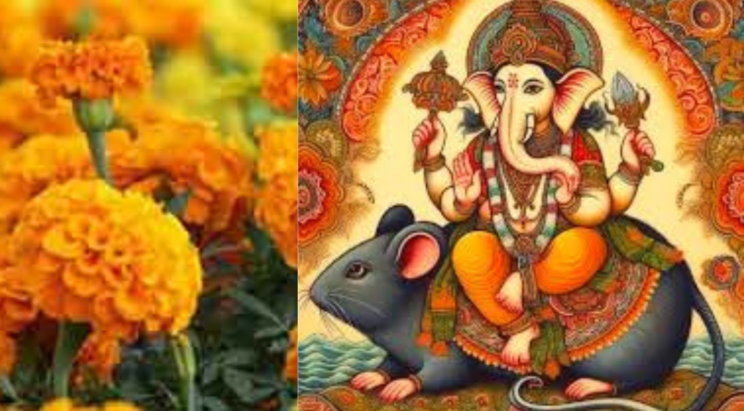 મરેલો ઉંદર, જ્યોતિષ શાસ્ત્ર