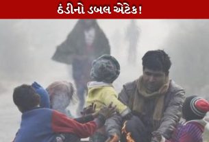 હવામાન (Weather)માં ભારે ઠંડીનો સામનો કરવો પડી રહ્યો