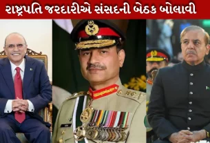પાકિસ્તાન રાષ્ટ્રપતિ જરદારી, વડાપ્રધાન શાહબાઝ શરીફ, ફિલ્ડ માર્શલ અસીમ મુનીર,