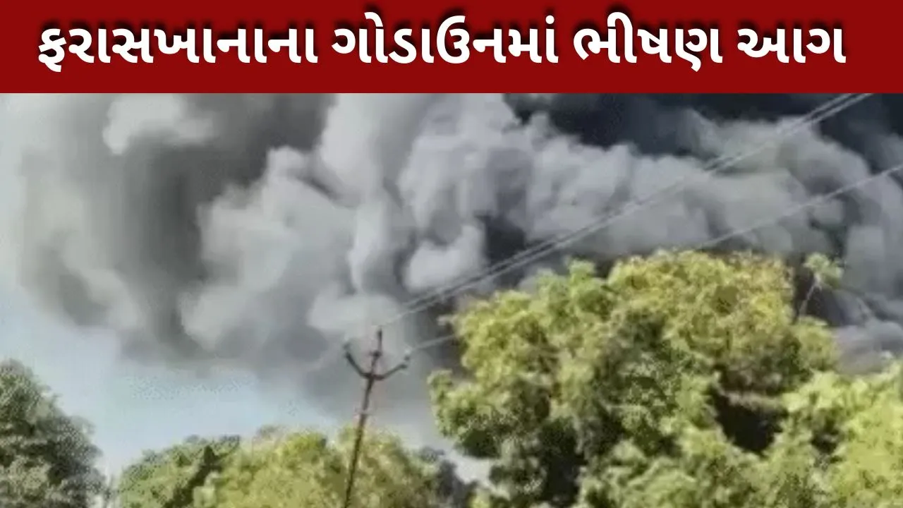 અંકોડીયા