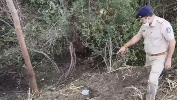 શરૂઆતમાં ગોળગોળ જવાબ, પછી કબૂલાત