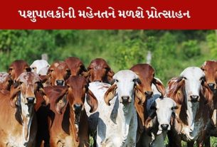 Best Livestock Breeder Award