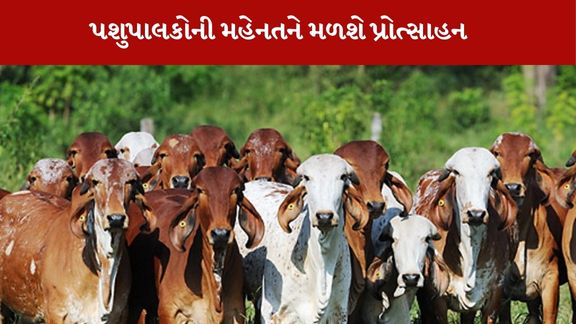 Best Livestock Breeder Award