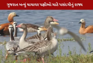 Gujarat