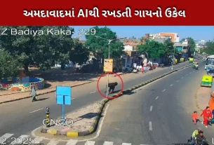 ગુજરાત