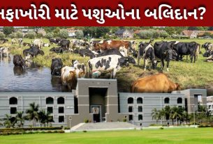 Animal Feed