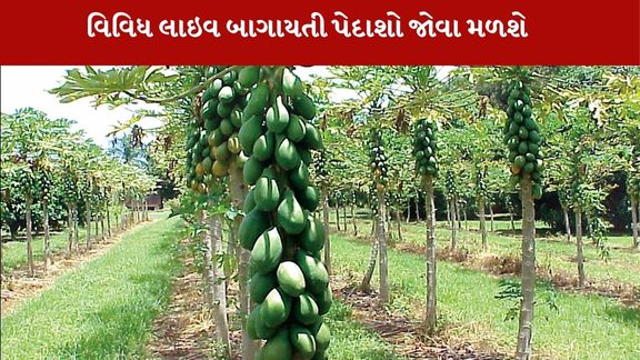 vastrapur માં farmerhaat ખેડૂત હાટ -2026નું આયોજન