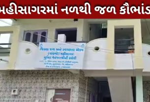 Mahisagar water scam: ભાજપના નેતા CIDના સકંજામાં