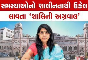 એક અધિકારી, ત્રણ ગિનીઝ વર્લ્ડ રેકોર્ડ: IAS Shalini Agarwal