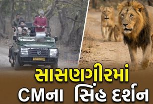 Gir Safari