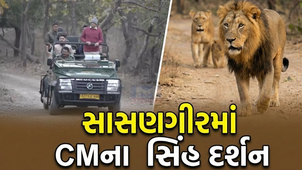 Gir Safari