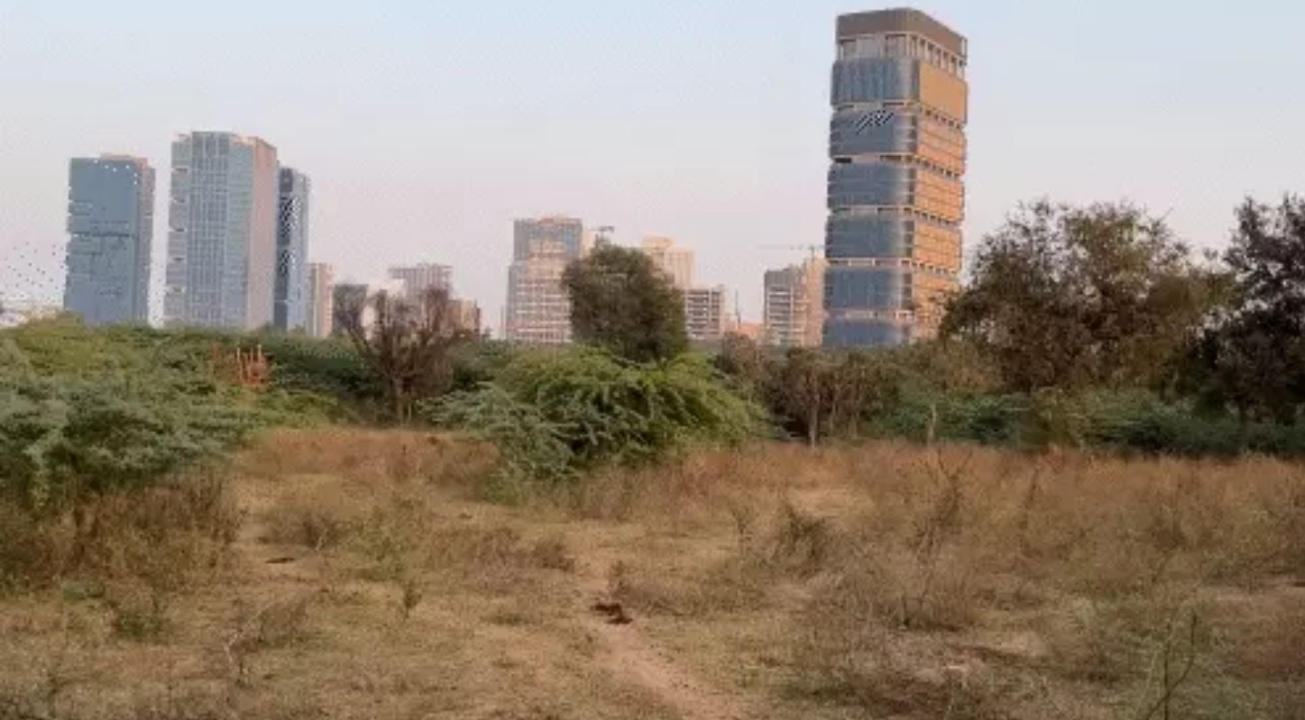 Gift City