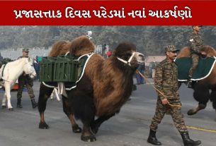 Republic Day