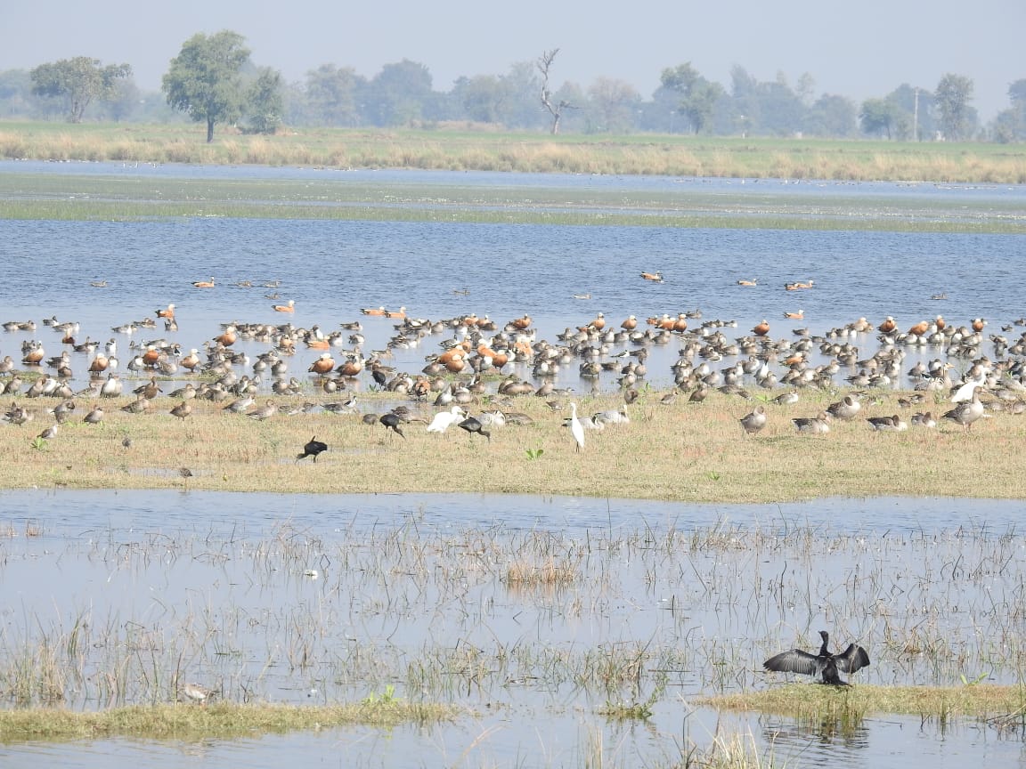 Gujarat 