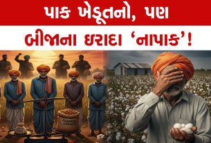 ખરીફ પાક