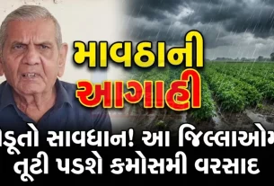 Ambalal Patel Weather Forecast Gujarat February 2026